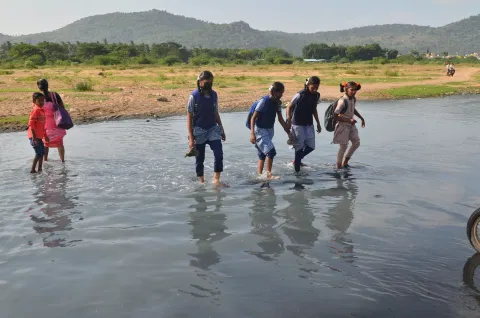Students crossing the stretch across Palar by wading through sewage  stagnated in the river in Vellore