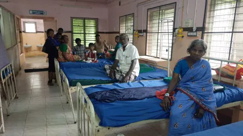 20 persons injured in beetles sting&nbsp;