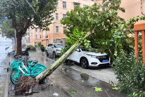 The aftermath of Typhoon Bebinca in Shanghai
