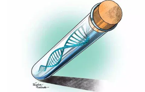 Representative image (Illustration by Varghese Kallada)