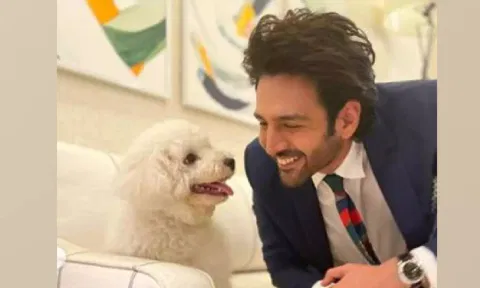 Kartik Aaryan, Katori
