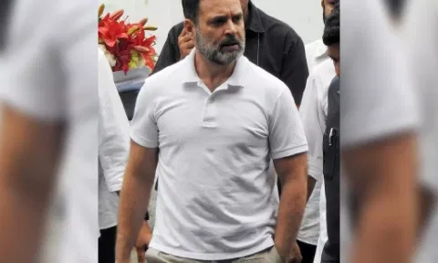 Rahul Gandhi&nbsp;