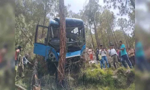 Visuals from the spot (ANI)