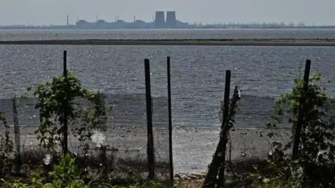 UN nuclear watchdog concerned over water levels at Ukraine plant