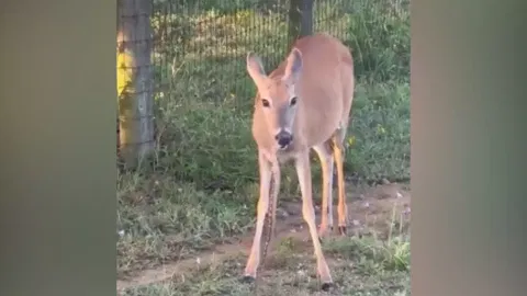 Screengrab from the video&nbsp;