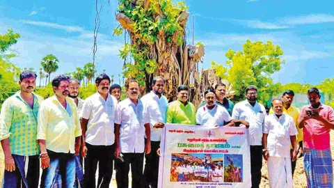 Celebration time for residents of Sunambedu as transplanted banyan tree springs back to life
