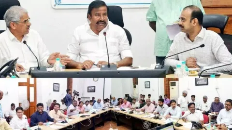 Municipal administration minister KN Nehru instructed the officials during the review meeting held at Ripon building on Wednesday