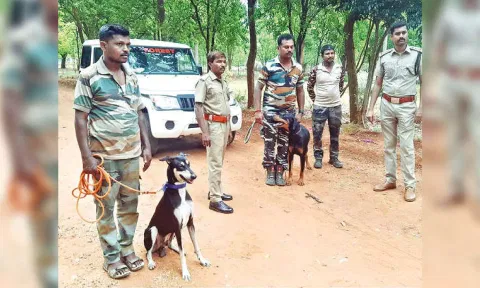Sniffer dogs Valavan and Bairava deployed to track ‘Bahubali’