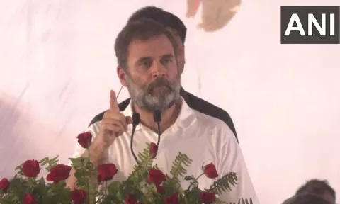 Rahul Gandhi (ANI)