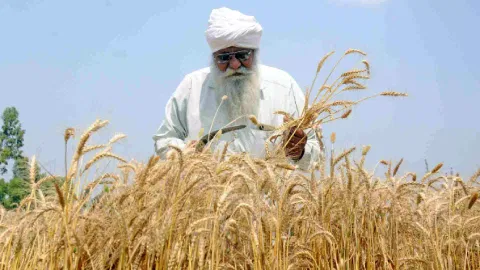 Representative Image (Photo: IANS)
