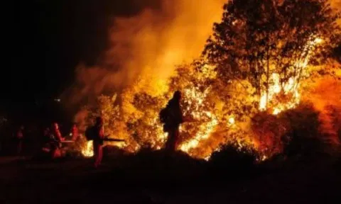 Ottawa air quality rising to 'very high risk' again due to forest fires