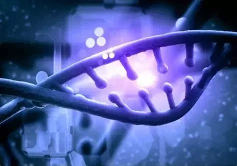 Gene therapy shows promise to help treat glaucoma