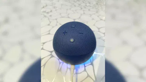 Representative Image (Photo: IANS)