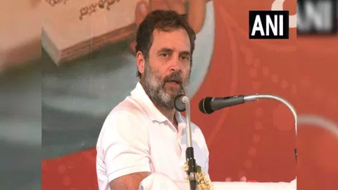 Congress leader Rahul Gandhi (Photo: ANI)&nbsp;