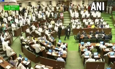 Representative Image (ANI)