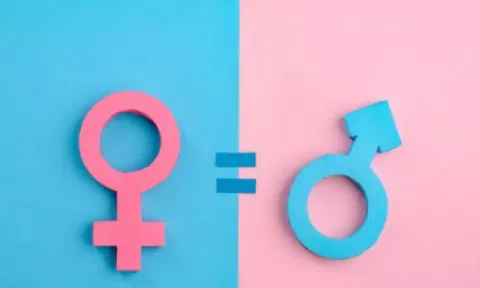 No country achieved full gender parity: UN