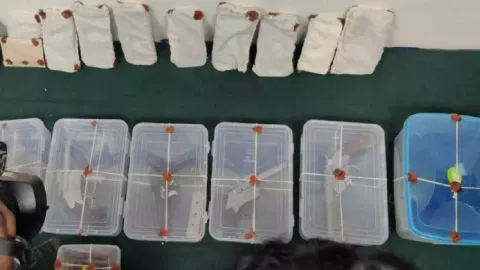 CCB seized mobile phones, pistols and bullets from terrorist suspects

Read more at: https://www.deccanherald.com/city/top-bengaluru-stories/terror-plot-averted-after-five-suspects-nabbed-in-bengaluru-1238518.html
