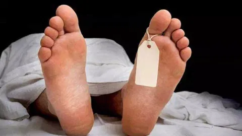 Two killed as bike collides with lorry