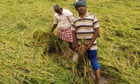 Major relief to farmers as TN govt introduces early subsidy plan to purchase agri machineries