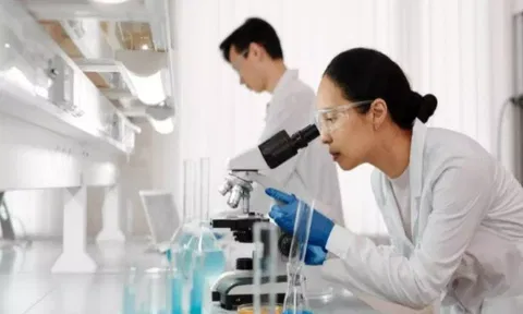 Can probiotics help slow age-related cognitive decline?