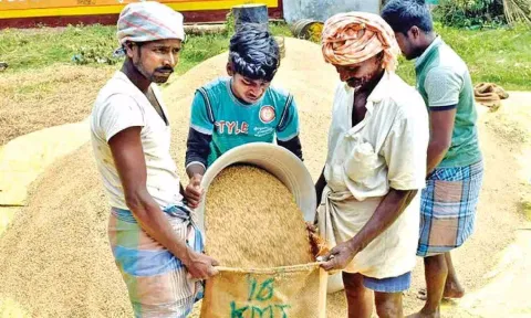 Representative image