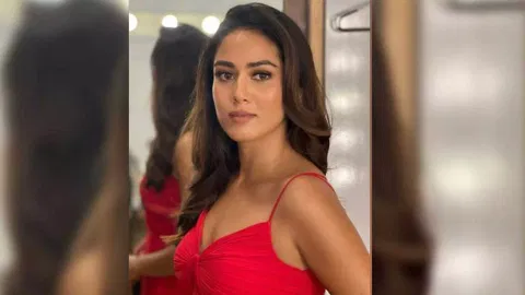 Mira Rajput Kapoor (Image: Instagram)