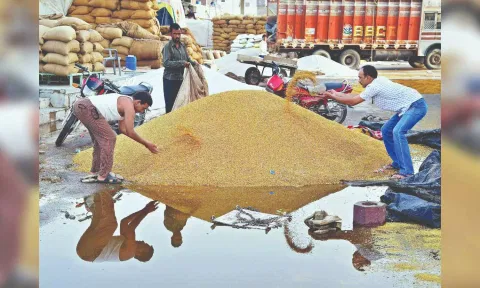 Food security: Achieving zero hunger is still possible