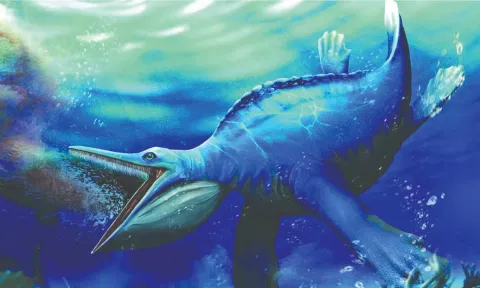 Based on these findings, Hupehsuchus appears to be the earliest known example of a filter-feeding, four-limbed vertebrate.&nbsp;