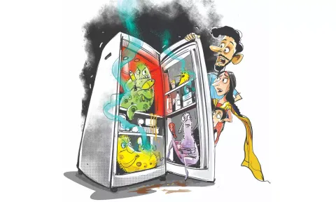 Experts opine that majority of Indian dishes have fibres, salt &amp; sour elements that act as natural preservative elements. (Illustration by Saai)