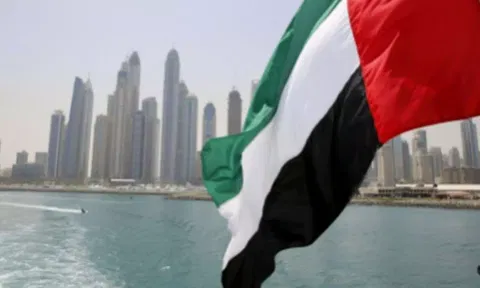 Representative Image (ANI)
