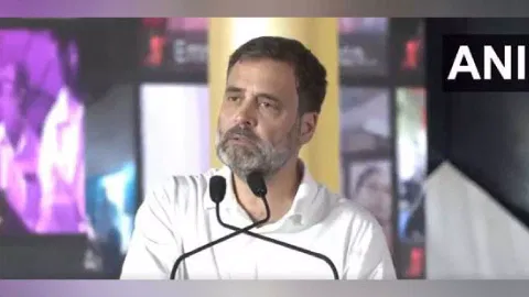 Congress MP Rahul Gandhi (Photo/ANI)