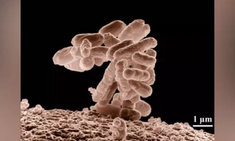 Representative Image (Image: IANS)