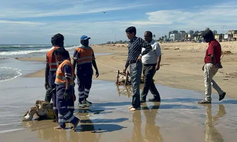 Over 100 tonnes of garbage cleared at immersion points after procession of Vinayagar idols