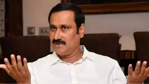 PMK for plan to restore Pallikaranai