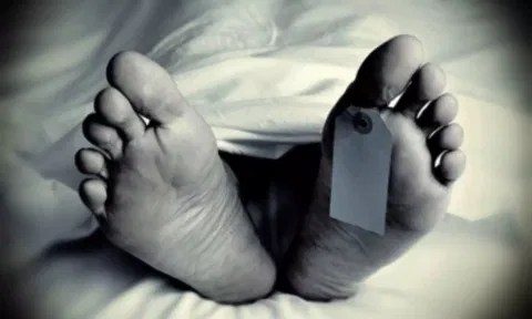 Maha hospital deaths: Bombay HC seeks health budget details