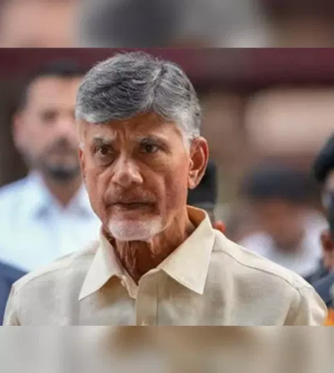 Chandrababu Naidu&nbsp;