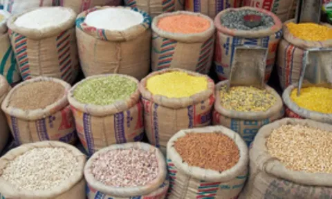 India’s foodgrain production shoots up to record 329.7 million tonnes for 2022-23