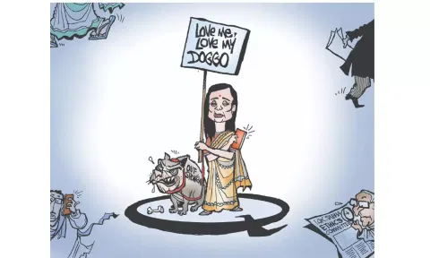 Toon of the day