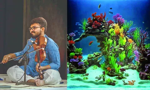Original and Optical Illusion image of Sayee Rakshith