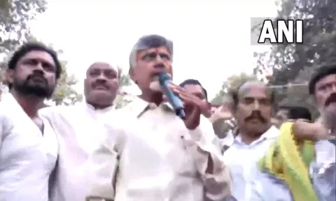 Chandrababu Naidu (ANI)