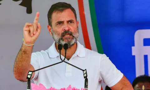 Rahul Gandhi (ANI)