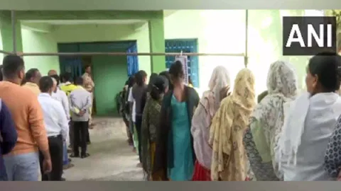 Chhattisgarh records 26.97 pc voter turnout till 11 am (Photo/ANI)