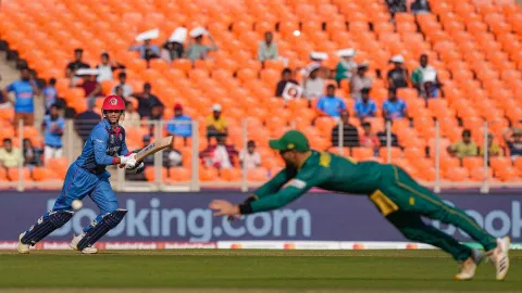 CWC 2023: Omarzai's 97 lifts Afghanistan to 244 against SA