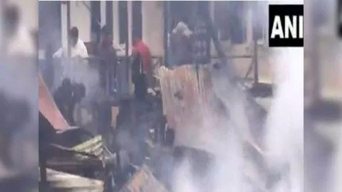 A house boat gutted in fire (Photo/ANI)