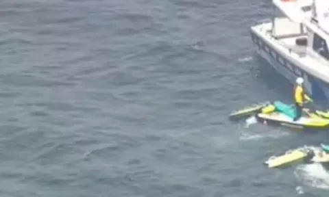 Ex-military plane crashes after mid-air collision in Australia