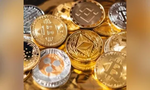 $173 mn lost in crypto so far in November: Report