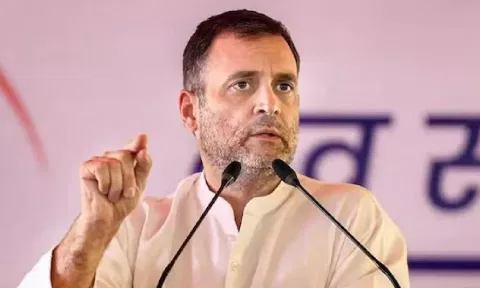 Rahul Gandhi (PTI)