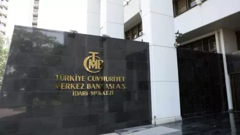 Turkey's central bank reserves record historic high