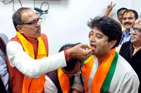 BJP once more in MP; party wins 17 seats, leading in 149, Congress ahead in 59