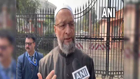 AIMIM chief Asaduddin Owaisi (Photo/ANI)